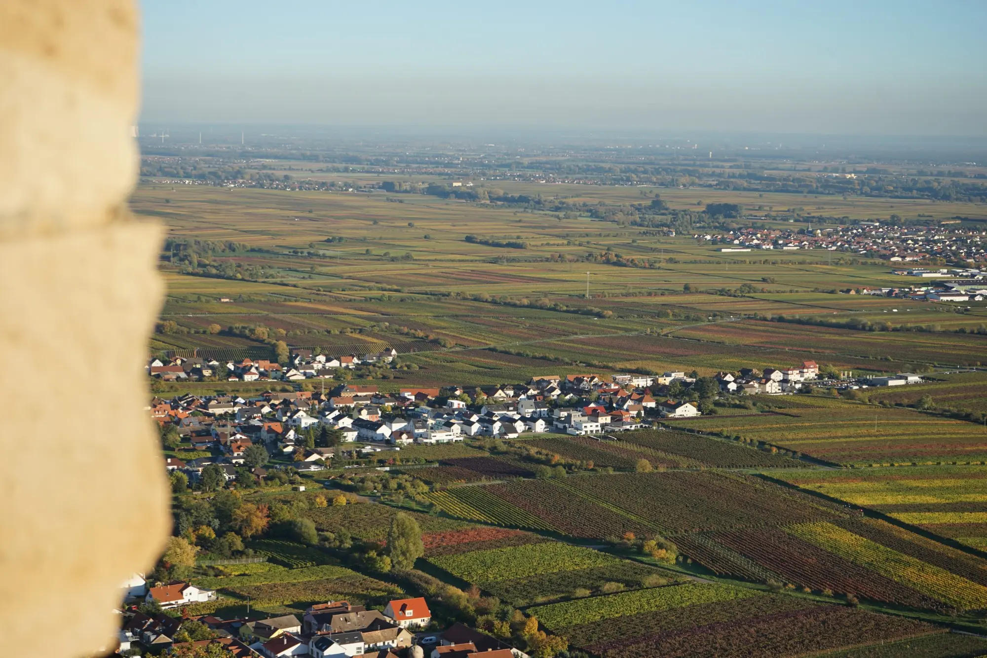Blick vom Hambacher Schloss über die Weinberge der Familie Clade